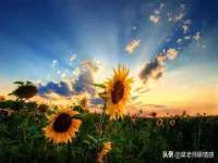 上海而萨而网络科技有限公司