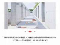 上海而萨而网络科技有限公司