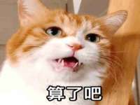 上海而萨而网络科技有限公司