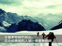 上海而萨而网络科技有限公司