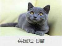 上海而萨而网络科技有限公司