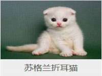 上海而萨而网络科技有限公司