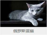 上海而萨而网络科技有限公司