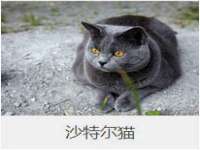上海而萨而网络科技有限公司