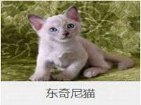 上海而萨而网络科技有限公司
