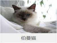 上海而萨而网络科技有限公司