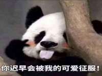 上海而萨而网络科技有限公司