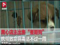 上海而萨而网络科技有限公司