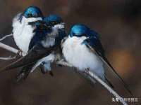 上海而萨而网络科技有限公司