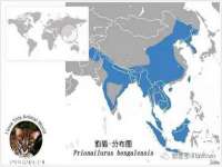 上海而萨而网络科技有限公司