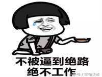 上海而萨而网络科技有限公司