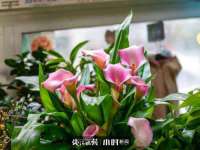 上海而萨而网络科技有限公司