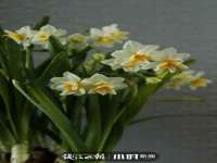 上海而萨而网络科技有限公司