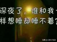 上海而萨而网络科技有限公司