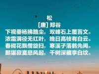 上海而萨而网络科技有限公司