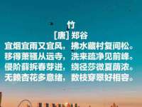 上海而萨而网络科技有限公司