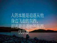 上海而萨而网络科技有限公司