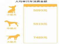 上海而萨而网络科技有限公司