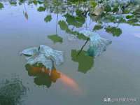 上海而萨而网络科技有限公司