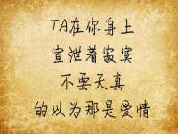 上海而萨而网络科技有限公司