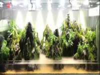 上海而萨而网络科技有限公司