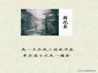 上海而萨而网络科技有限公司