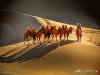 上海而萨而网络科技有限公司