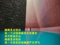 上海而萨而网络科技有限公司