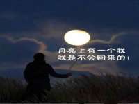 上海而萨而网络科技有限公司