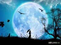 上海而萨而网络科技有限公司